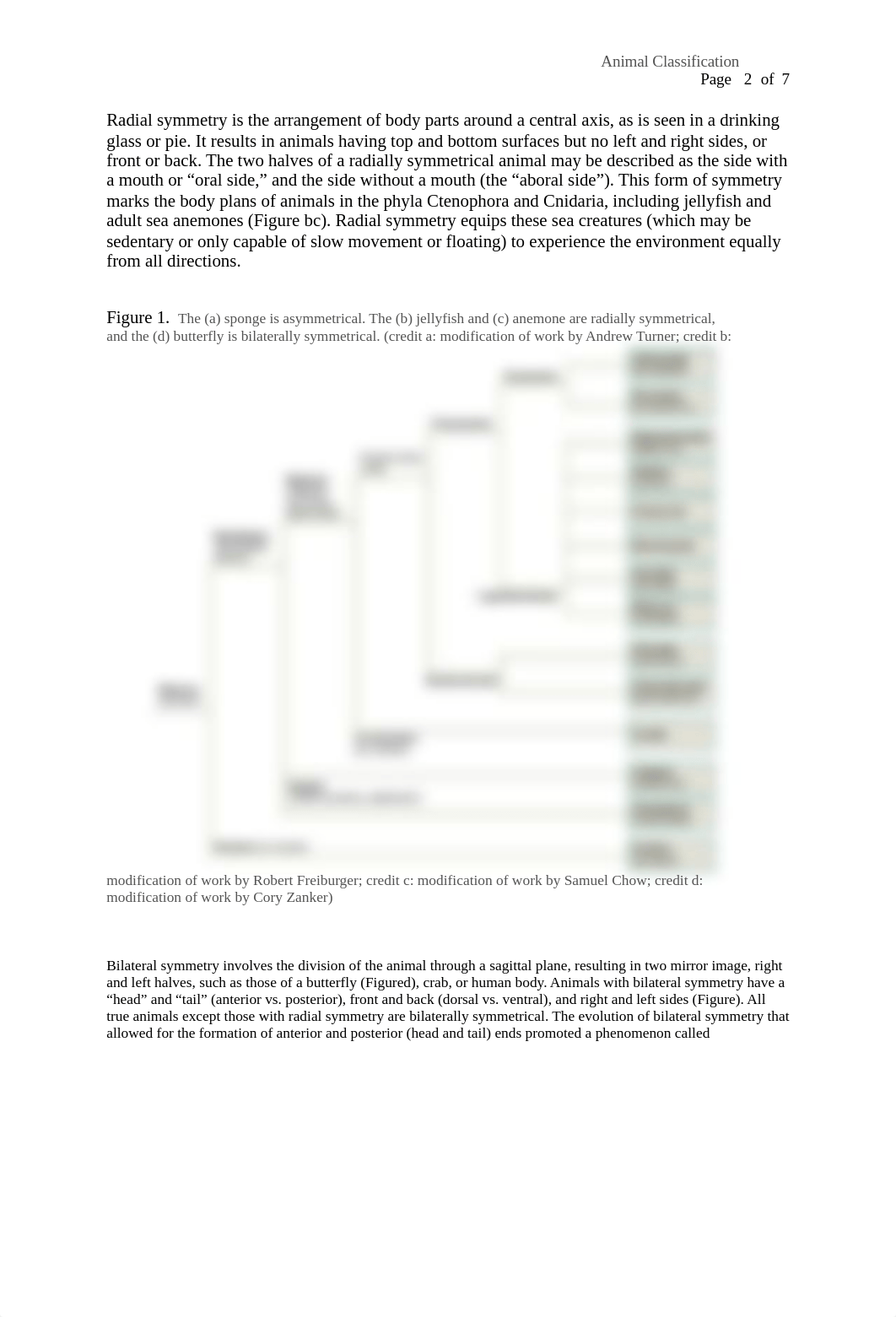 Animal Classification.docx_dvmnkuw24c4_page2