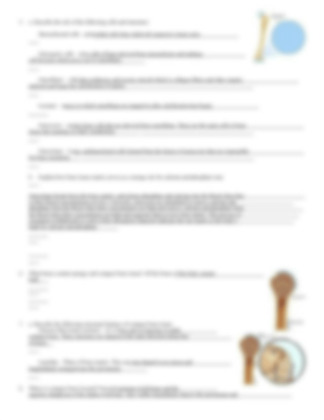 bone dynamics and tissue chp 6 - Copy.doc_dvmpa2lvhya_page2