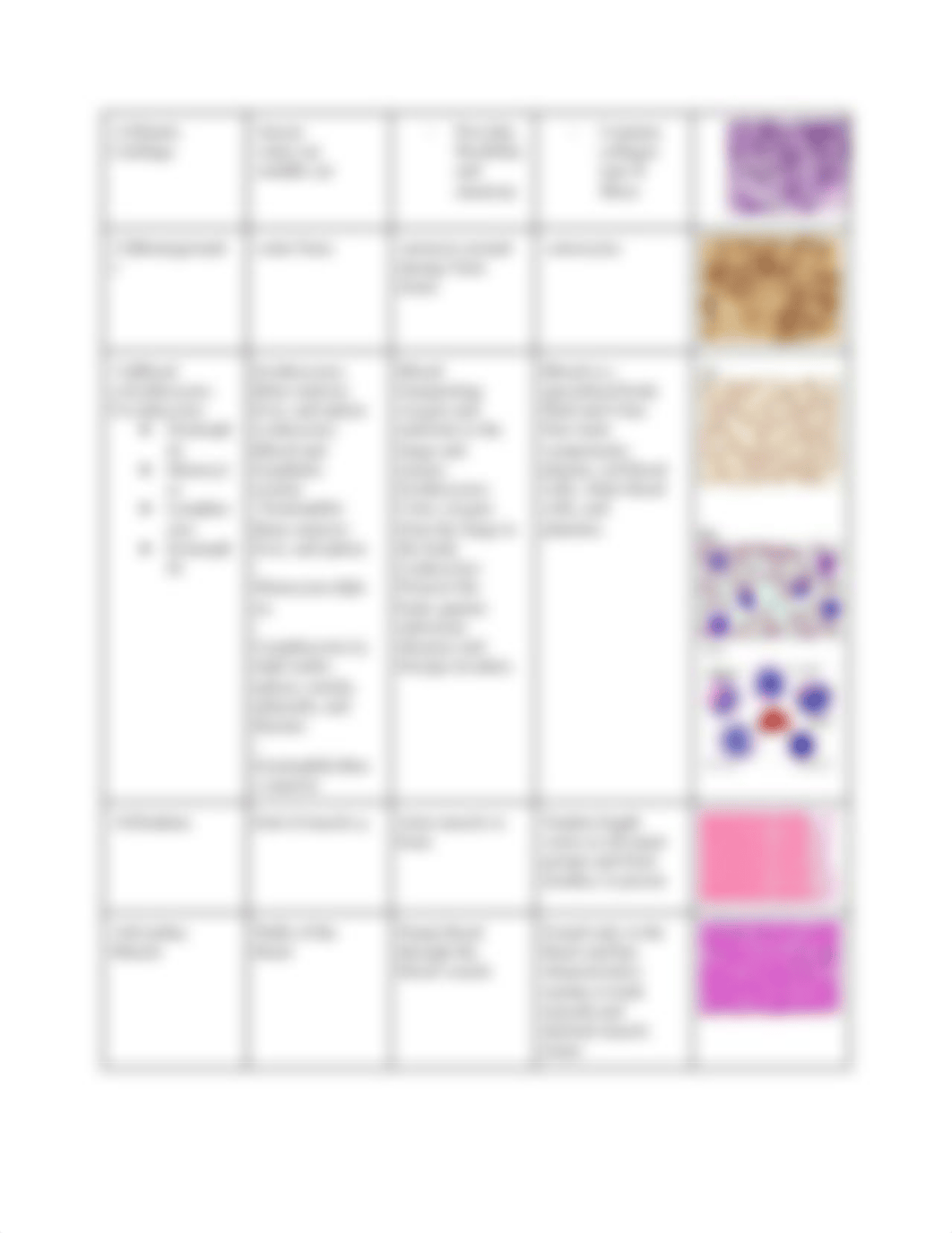 Tissue Chart.docx_dvmq6qh8bdz_page3