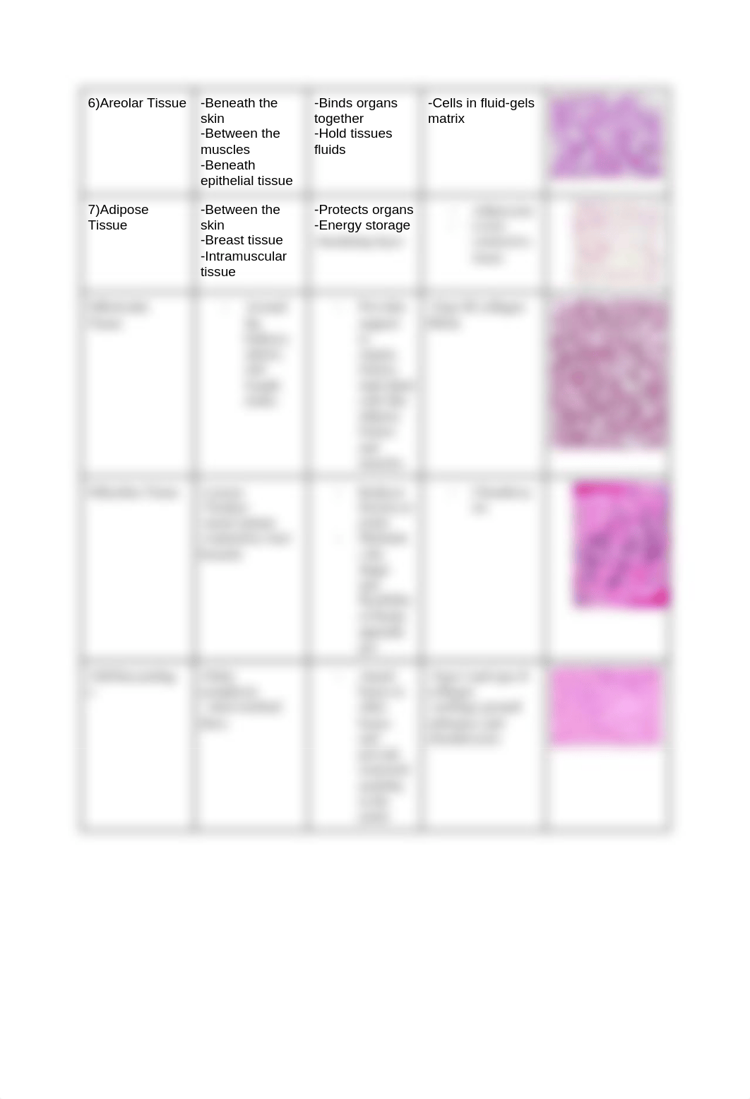 Tissue Chart.docx_dvmq6qh8bdz_page2