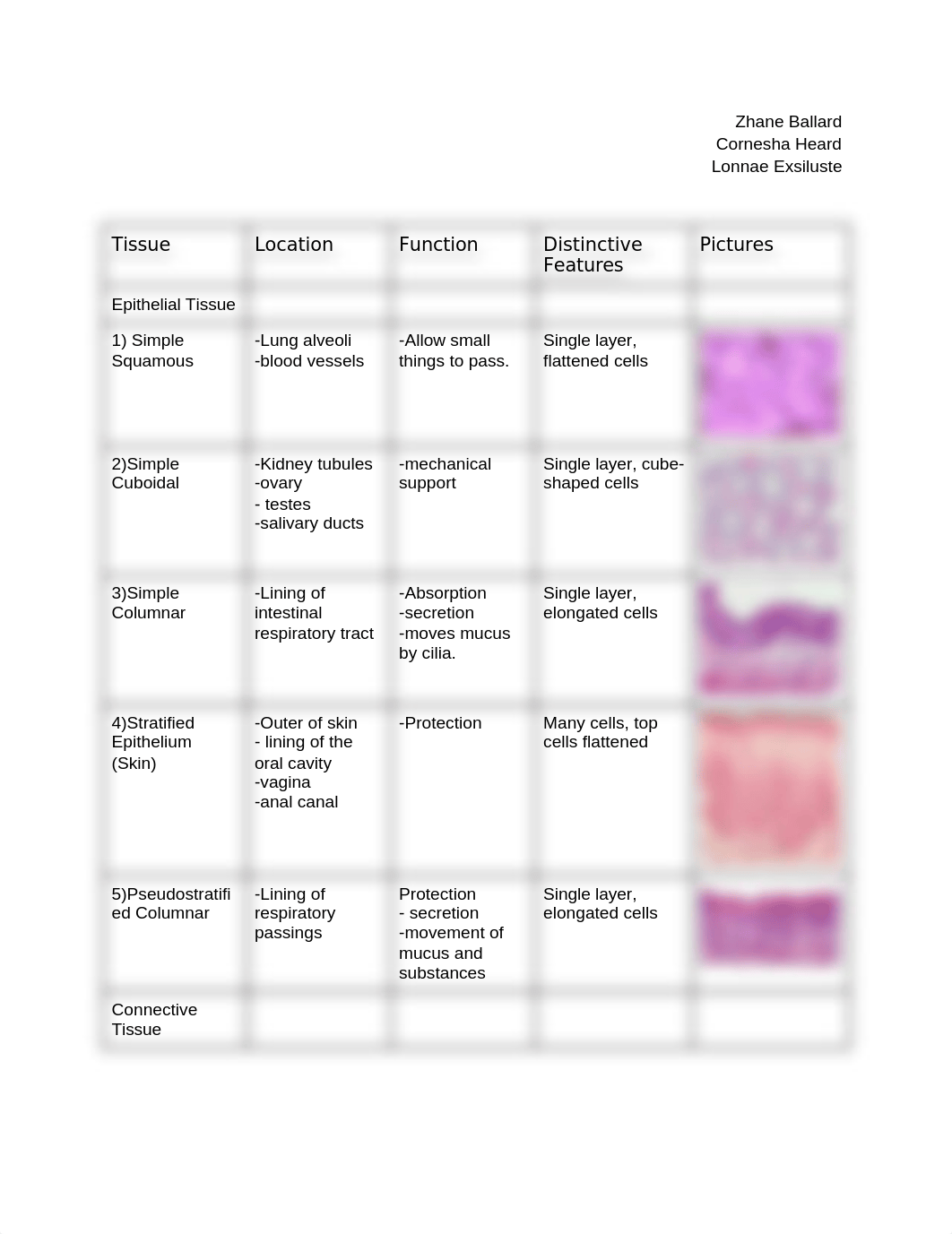 Tissue Chart.docx_dvmq6qh8bdz_page1