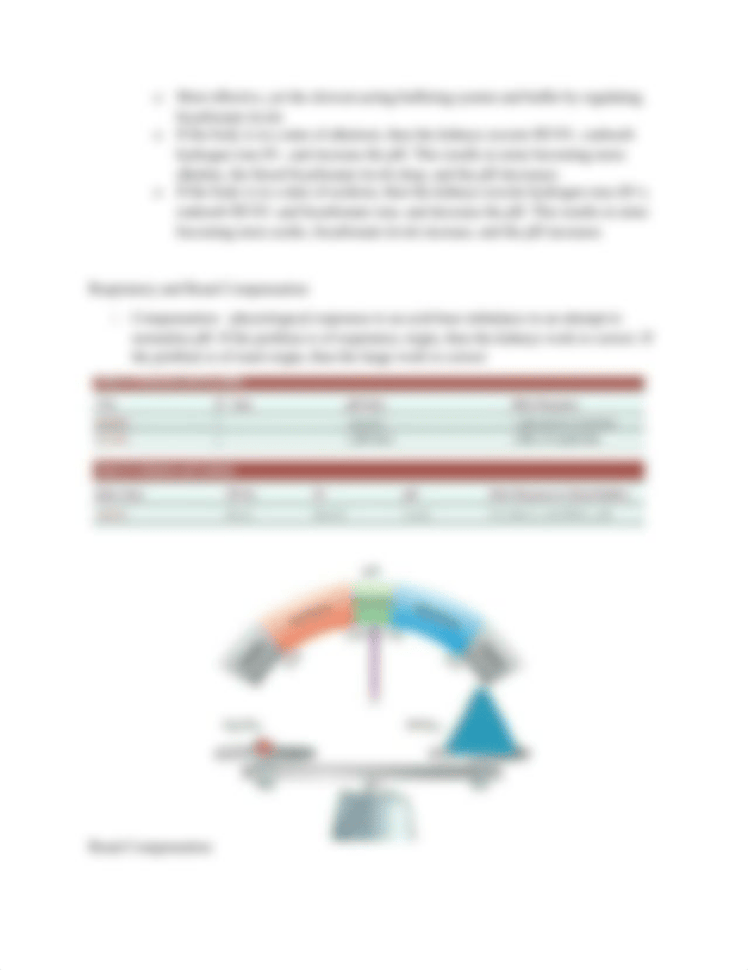 Chapter 9 Acid Base Balance.docx_dvmr0d2rv5p_page4