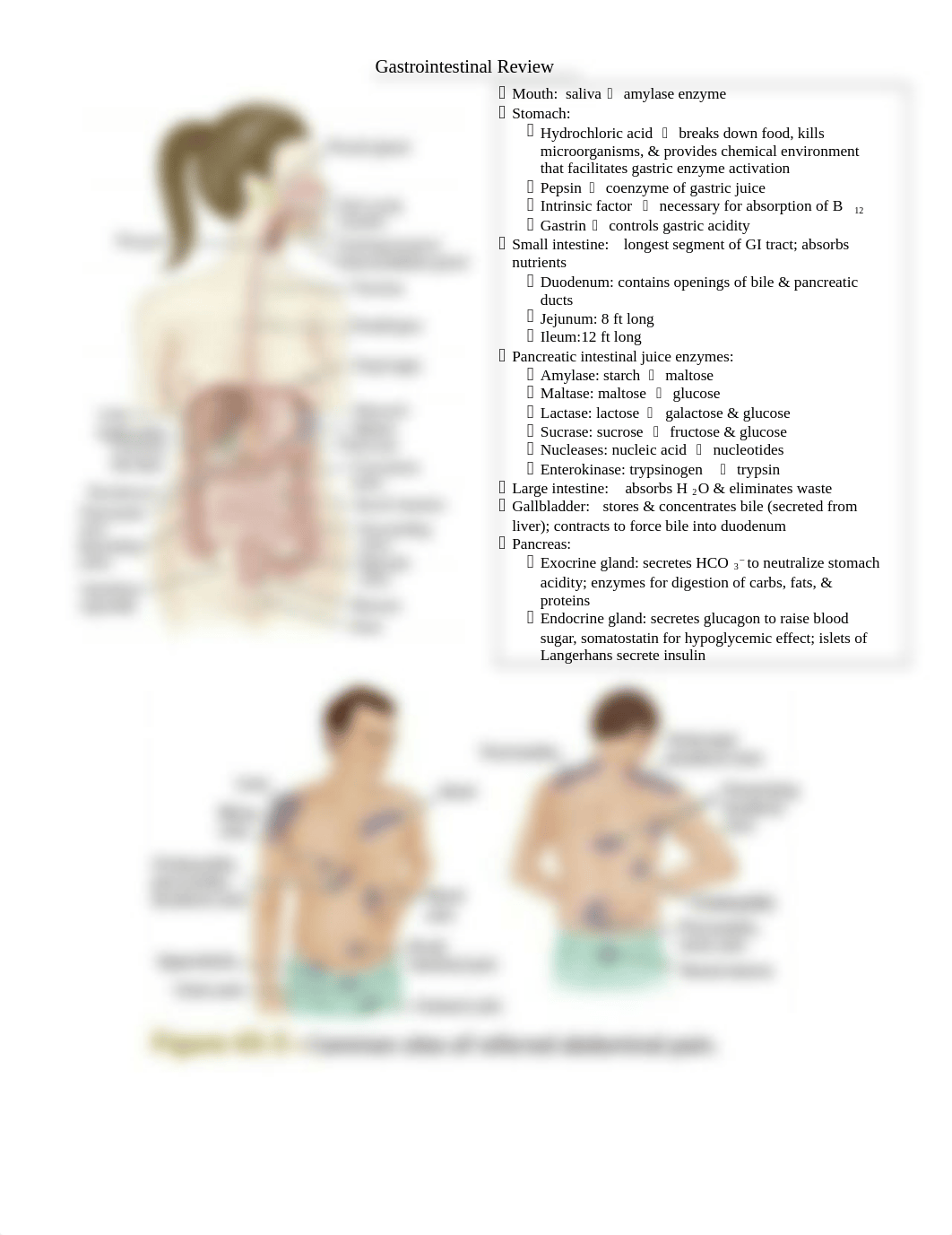 Exam 1 Review GI Units 3 & 4 (1).docx_dvmthb53wbn_page1