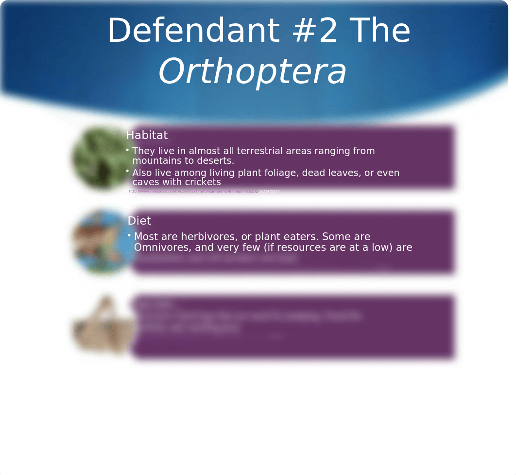 biology powerpoint_dvmtlezvqnn_page5