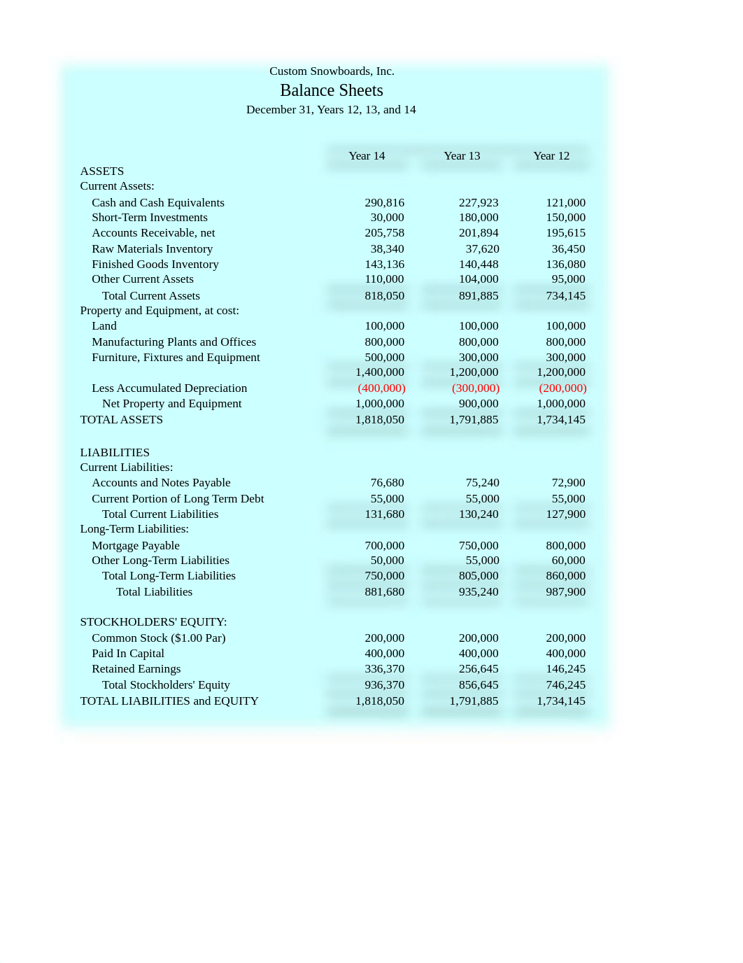 jet_task_5_custom_snowboards_inc_financial_data_evaluation_notes_1012_dvn1ibtk4wr_page2