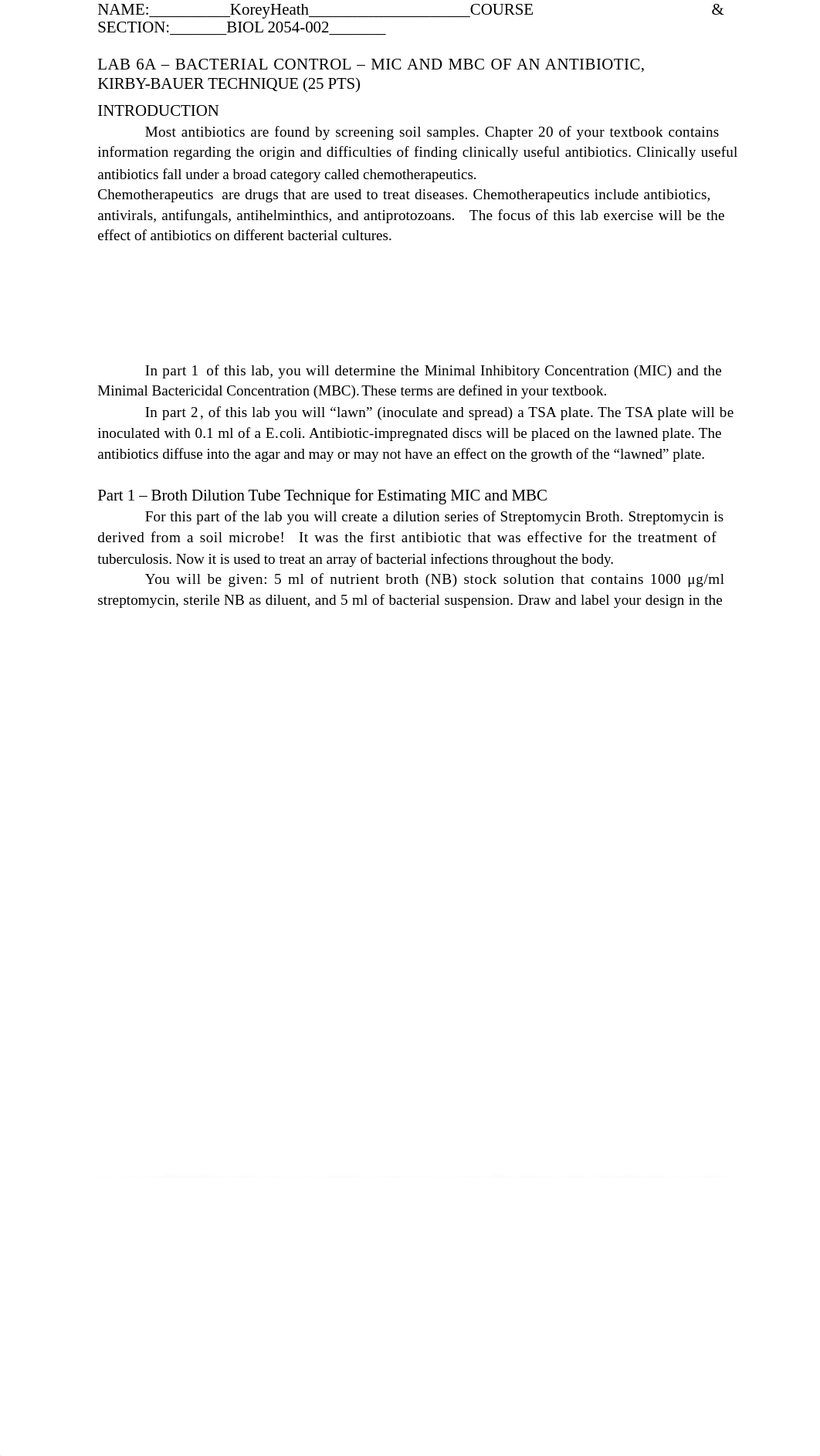 LAB 6.docx_dvnbqjkz23e_page1