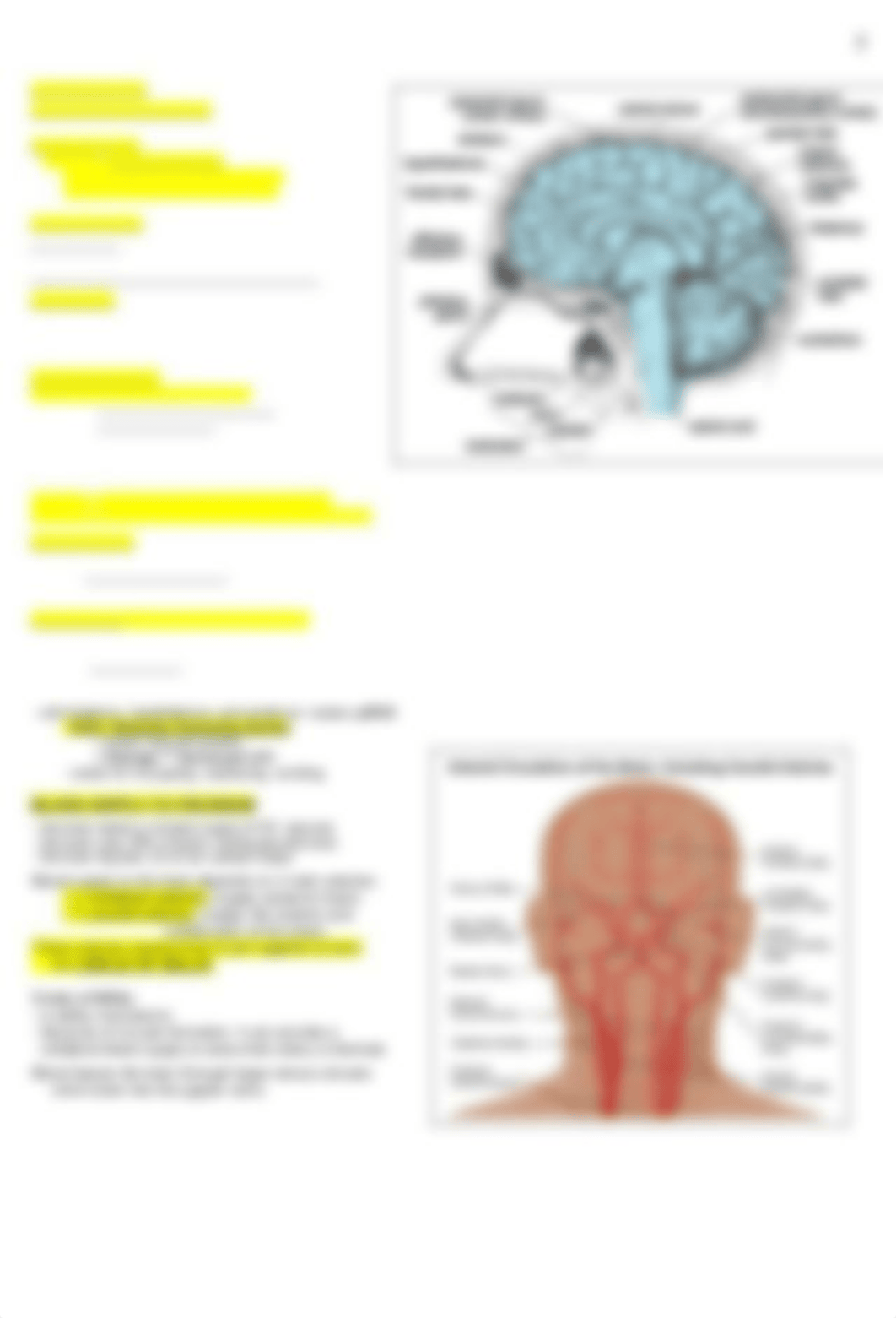 Neuro notes.docx_dvngt429sdv_page2