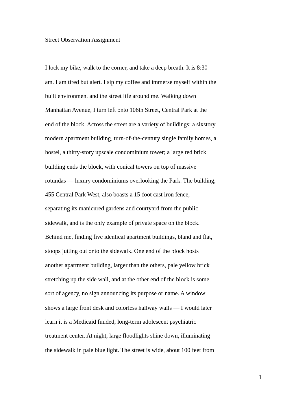 Street Observation assignment 3_dvo4kzt2y2g_page1