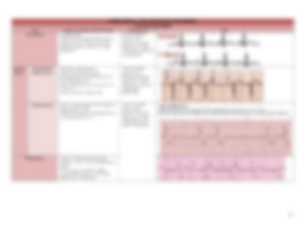 PANCE Review Tables.pdf_dvo60p5lj6b_page3