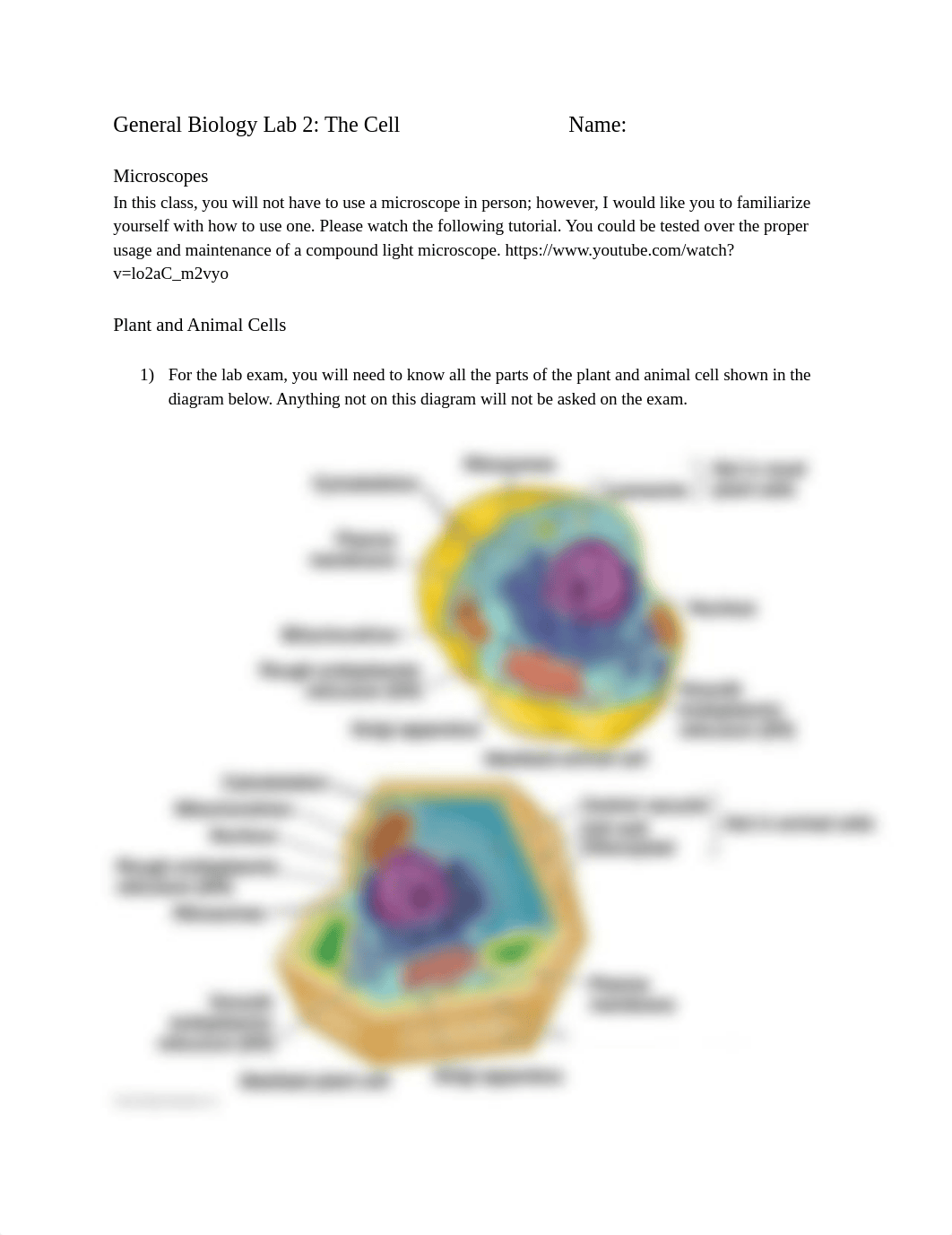 Lab #2.docx_dvo6csy4kyc_page1