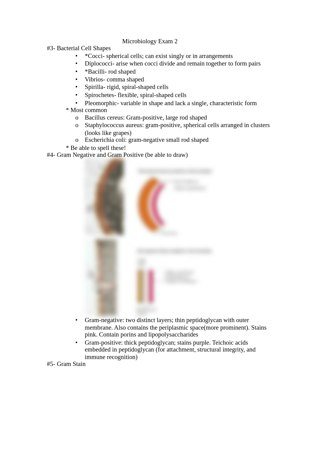 Microbiology Exam 2; 3-7_dvo7cb5hdyt_page1