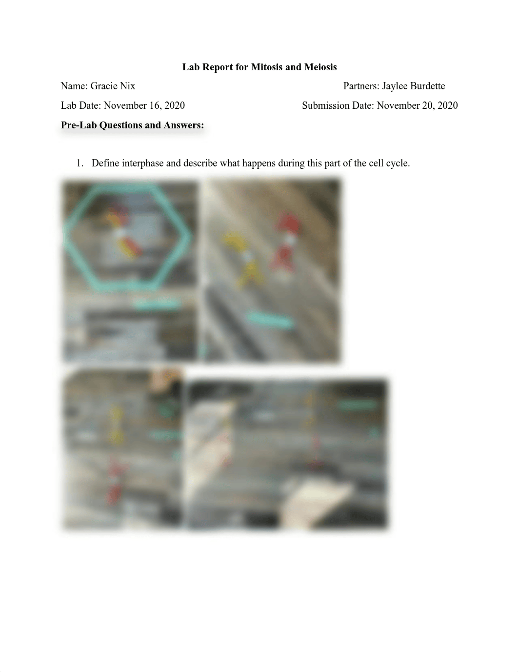 Biology Mitosis and Meiosis Lab.pdf_dvo8qne2hce_page1