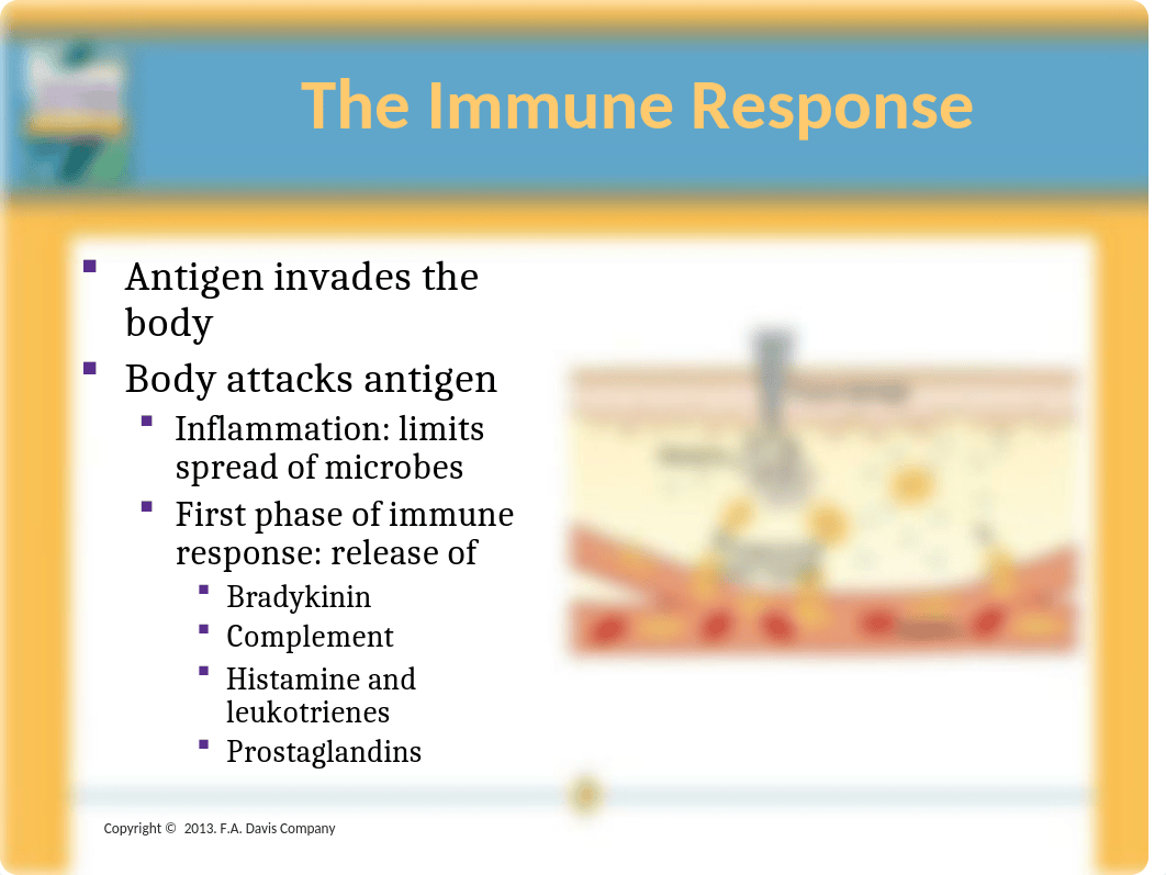 Chapter_017 Pharm PP.ppt_dvoaadftg3r_page4