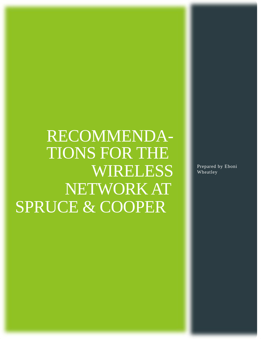 NP_WD_3_Wireless_CullinFitzpatrick_Report_2.docx_dvodevzetq0_page3