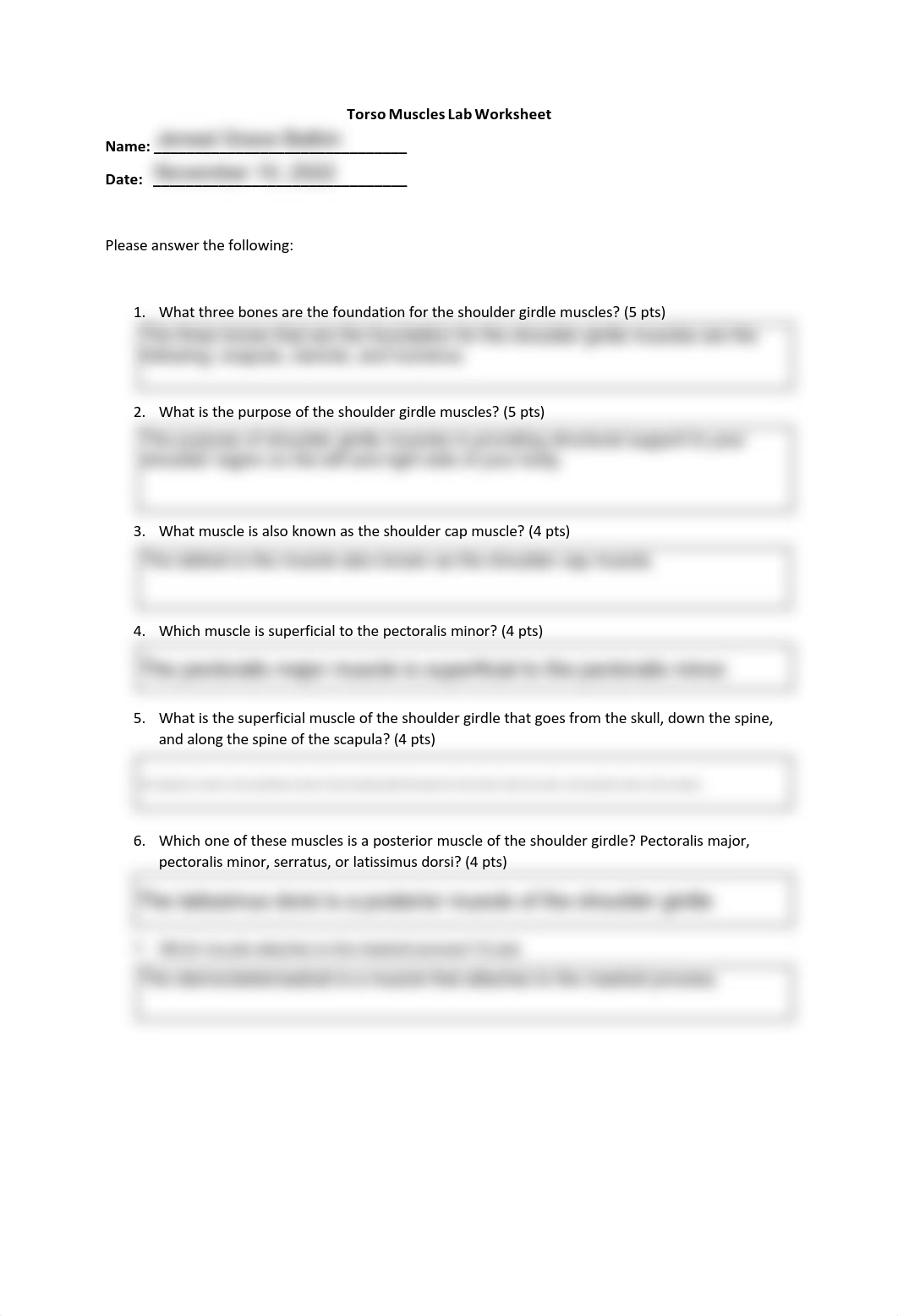 Torso+Muscle+Lab+Worksheet.pdf_dvoeyx8nk4p_page1