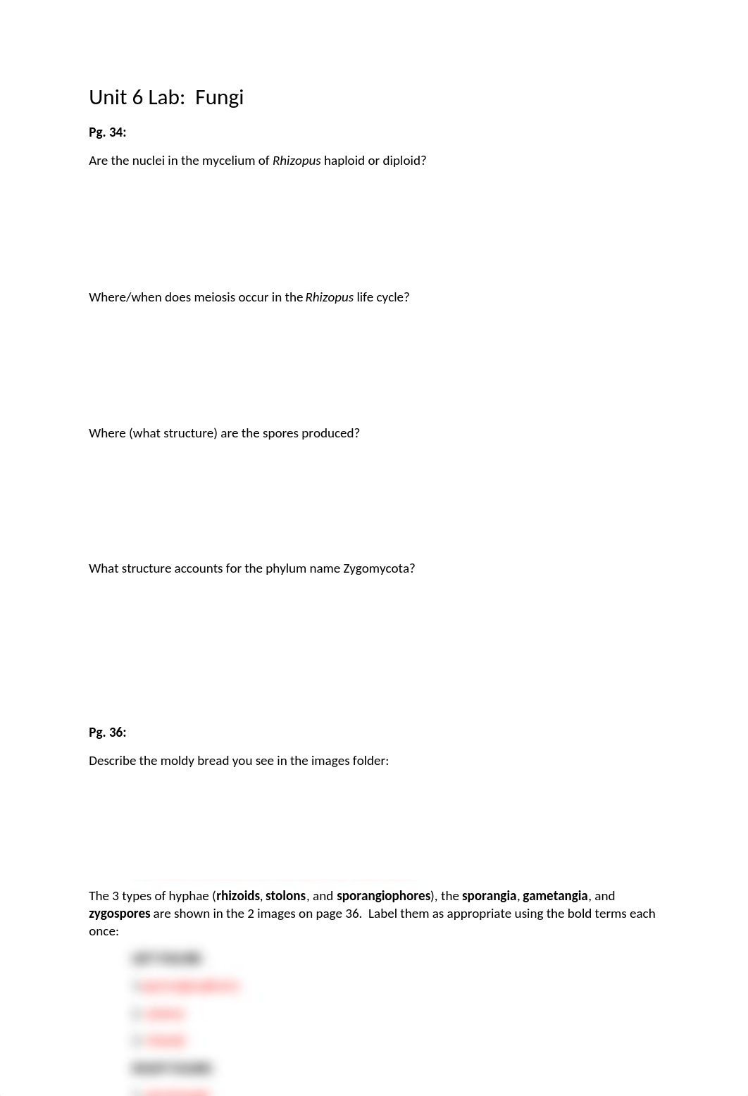 Lab 6.docx_dvoh0aga4km_page1