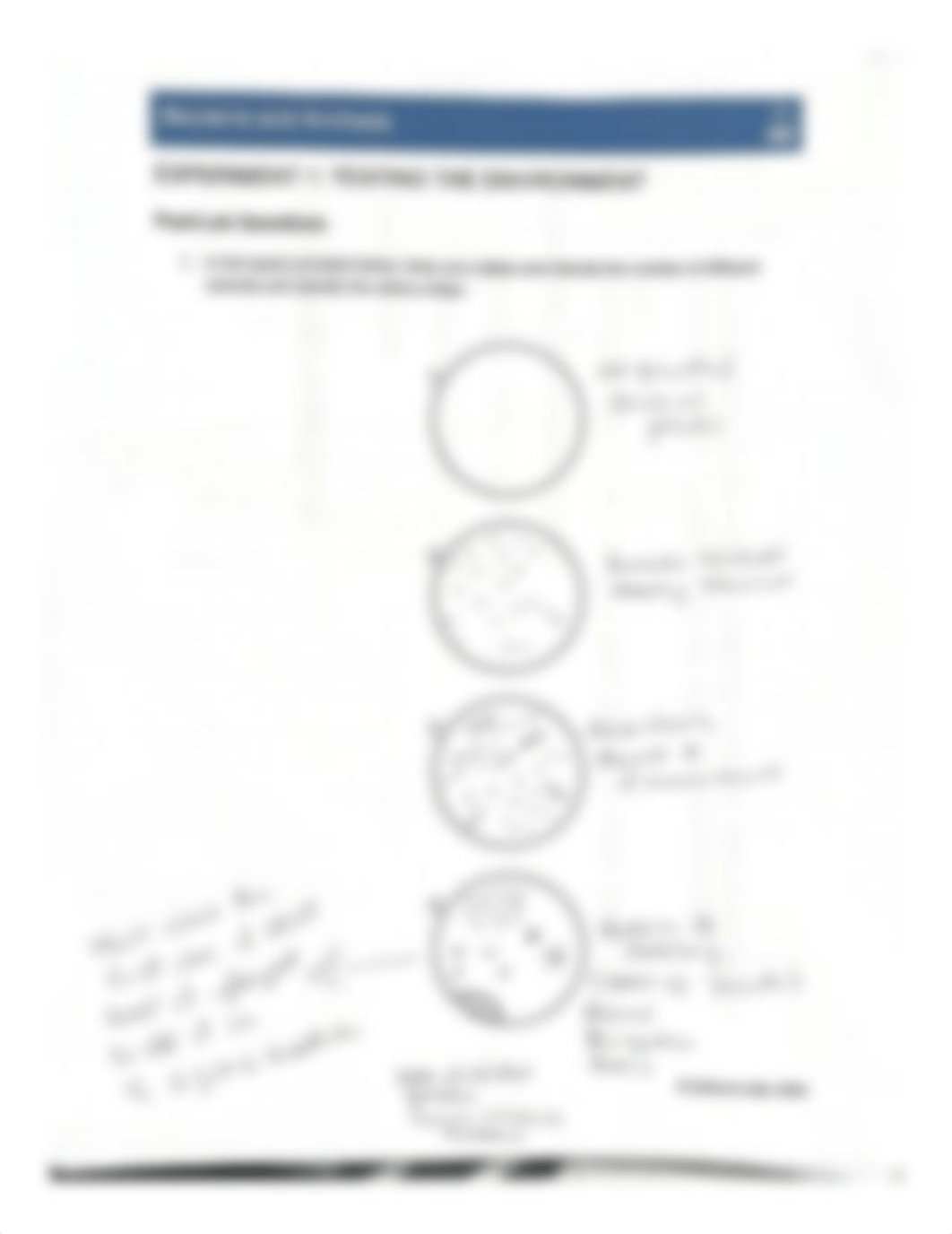 Lab 3 Bacteria and Archaea.pdf_dvohvm3idmt_page2