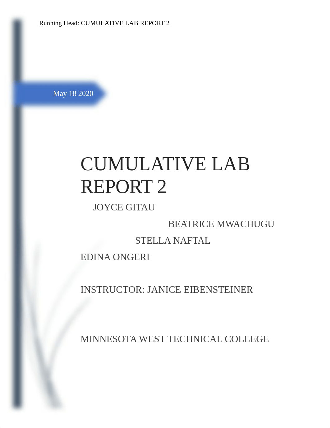 Cumulative lab report.docx_dvosjo3fcex_page1