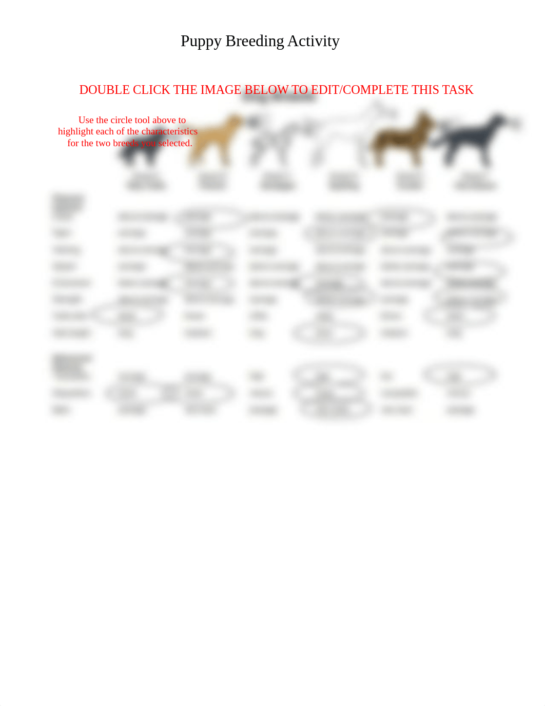 Breeding Puppies Activity & Extension.docx_dvowdj47u4s_page2