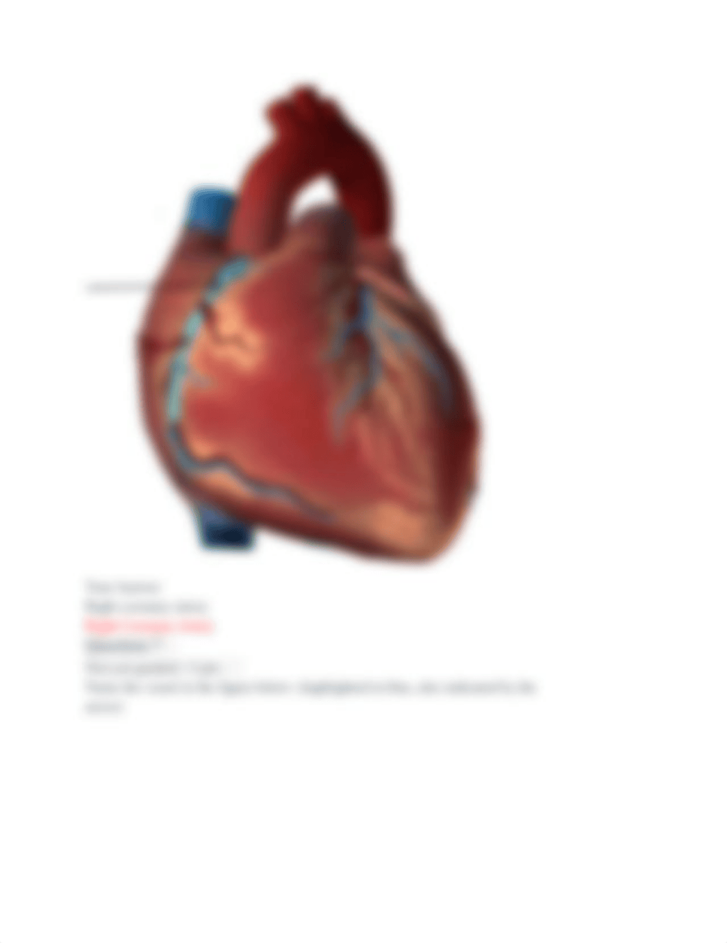 exam 4.pdf_dvoyeaqbf07_page4