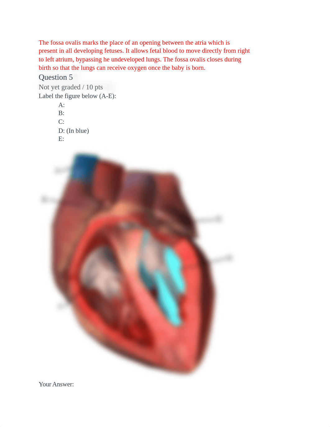 exam 4.pdf_dvoyeaqbf07_page2