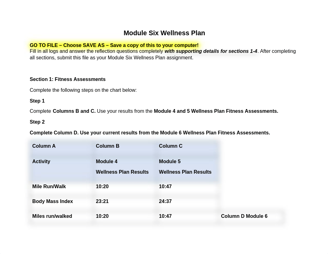 module_six_wellness_plan.doc_dvoymciqvo7_page1