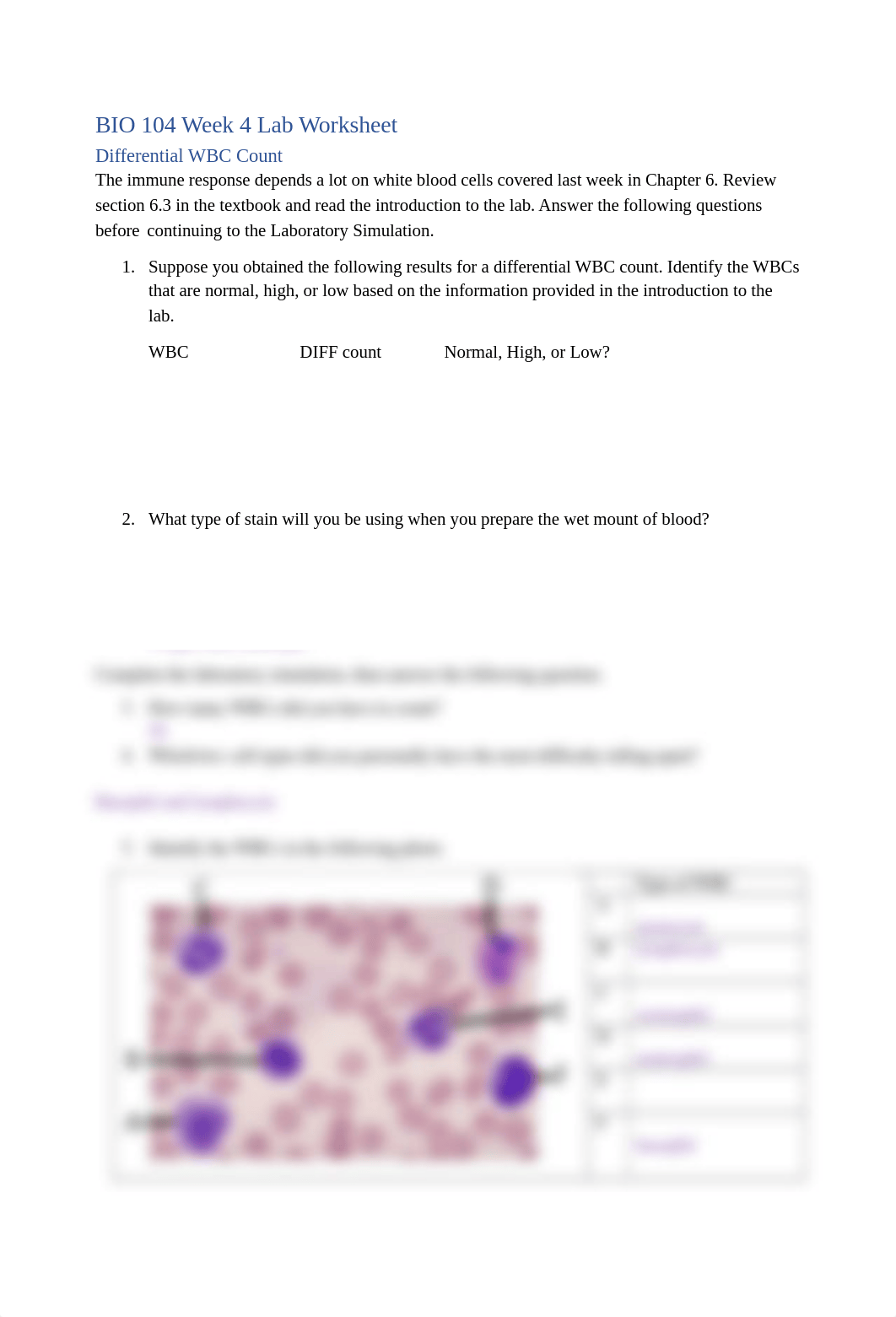 Week 4 Lab Worksheet.docx_dvozun0ae8a_page1