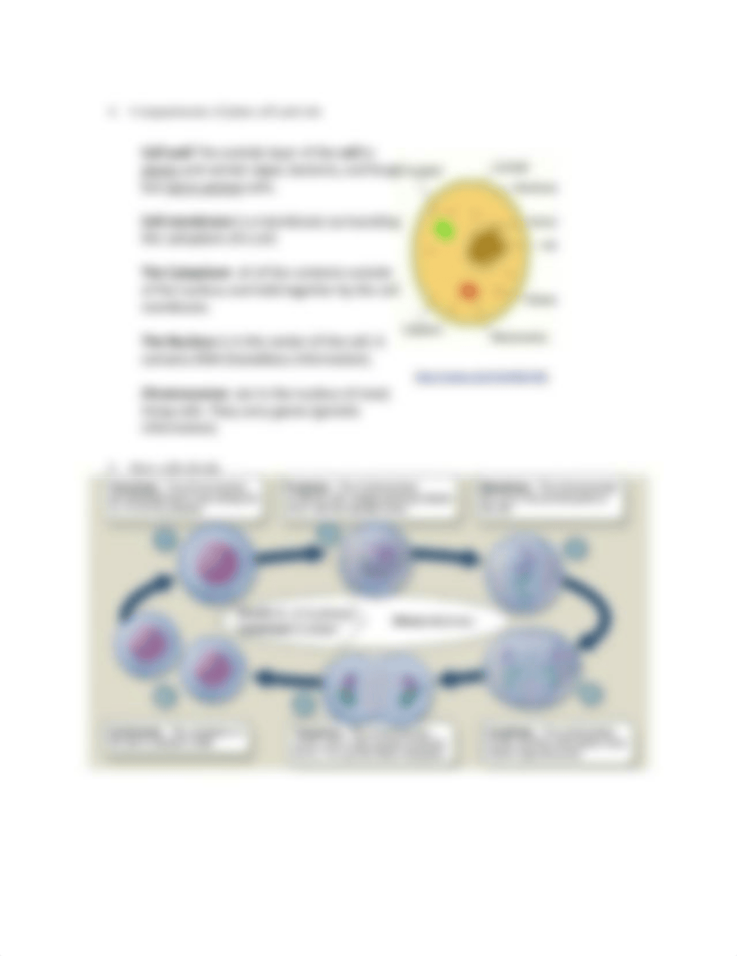 Exam 1-Plant Biology.docx_dvp2tktuote_page2