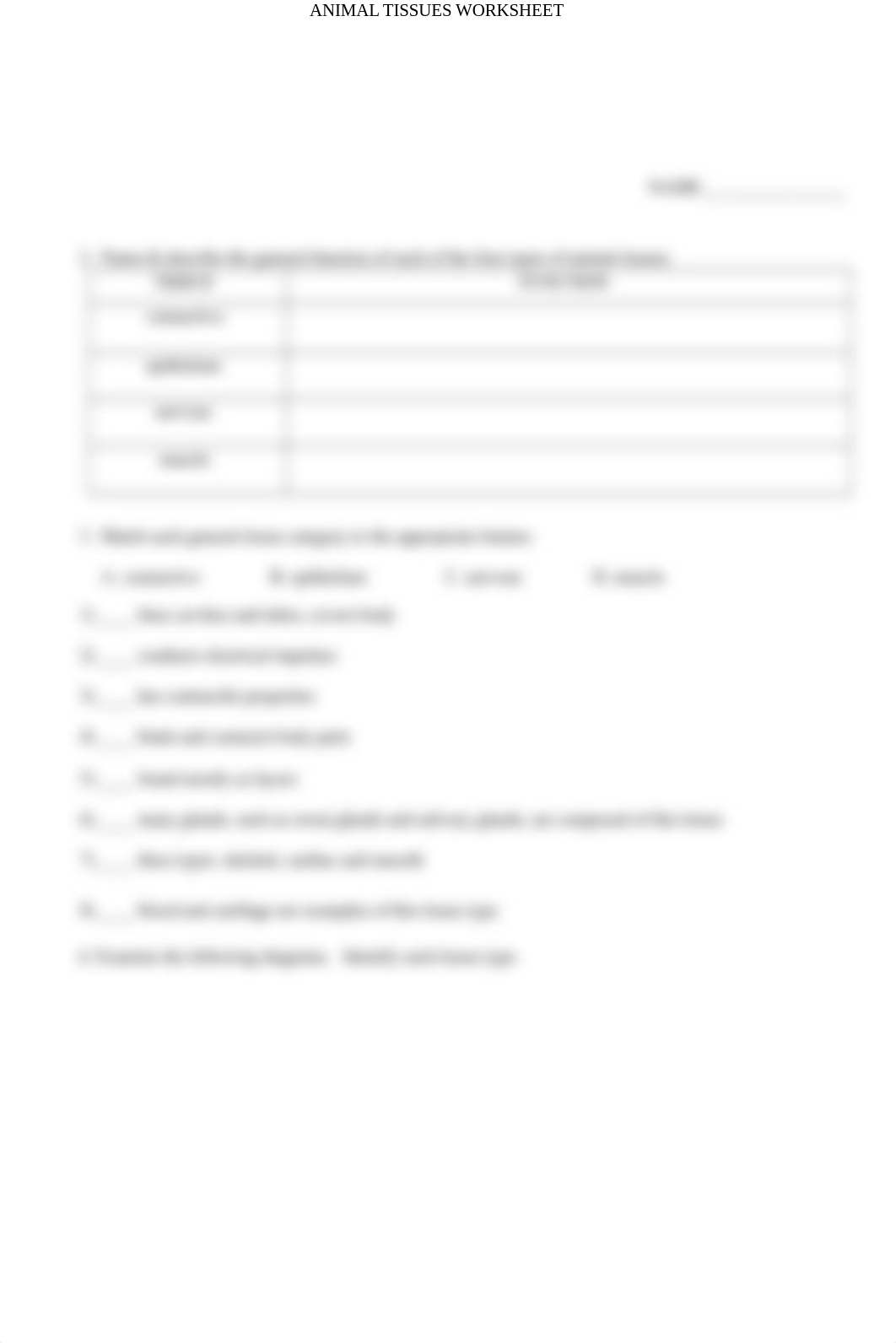 animal tissues worksheet.docx_dvp3w171tyf_page2