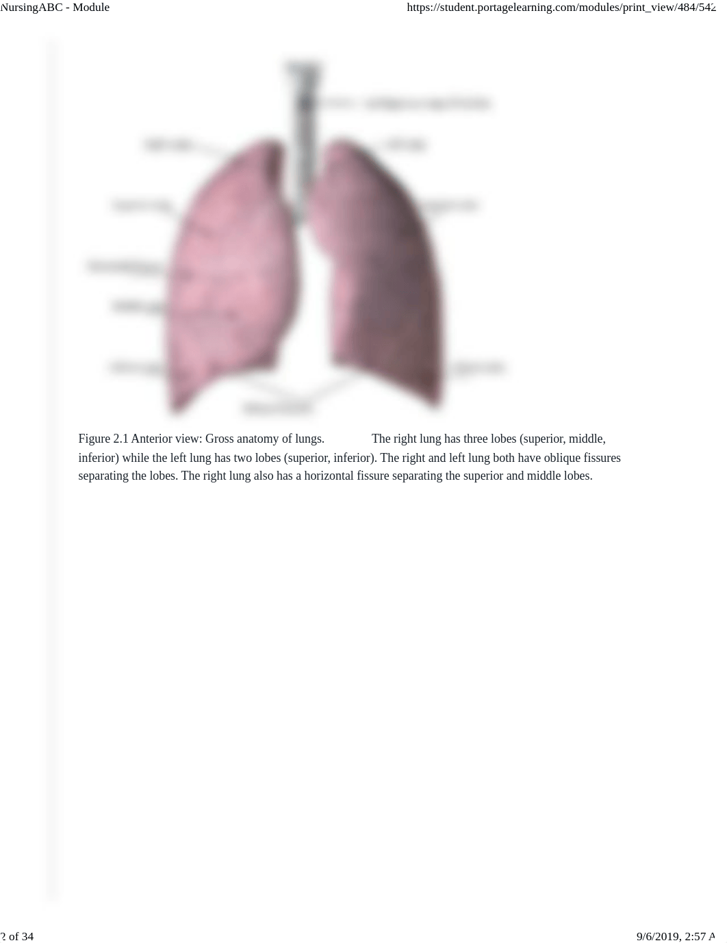 Nursing ABC - Module 2.pdf_dvpd25kzihe_page2