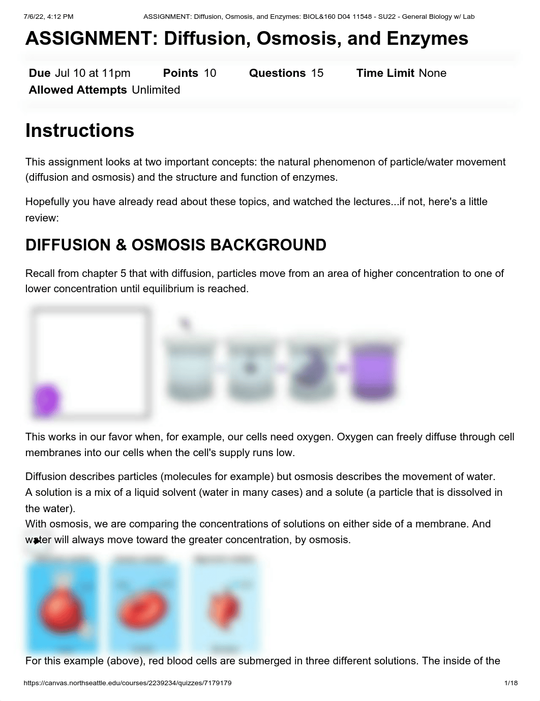 ASSIGNMENT_ Diffusion, Osmosis, and Enzymes_ BIOL&160 D04 11548 - SU22 - General Biology w_ Lab.pdf_dvpkxc9snfk_page1