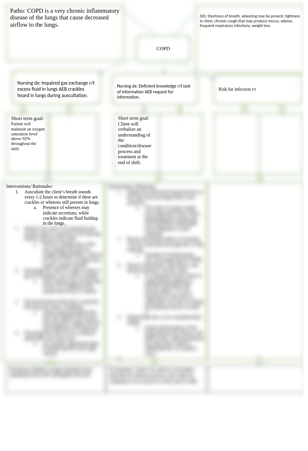 Lisa Romeo COPD HECTOR V CLINICAL  CARE PLAN.docx_dvplt9f260a_page1