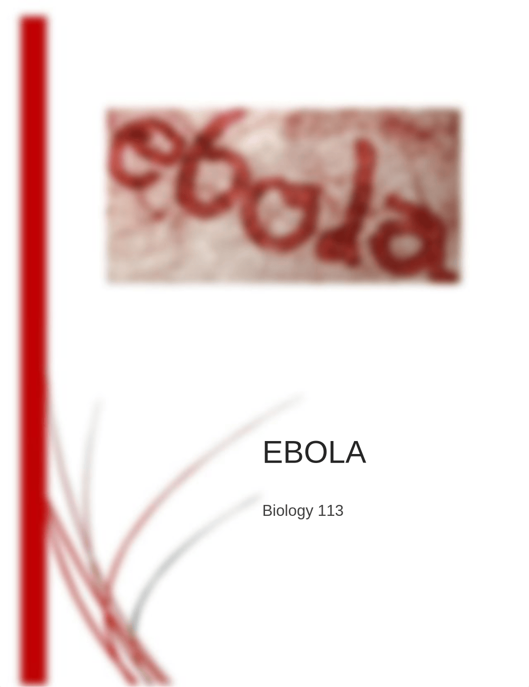 Ebola Essay_dvpsiwey7n5_page1