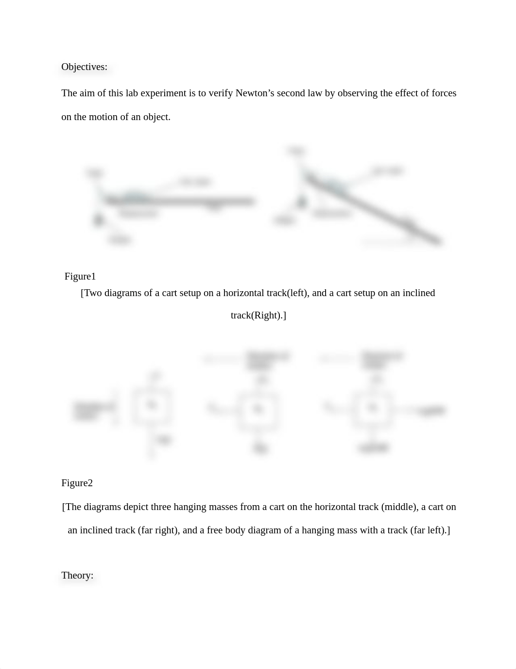 Physics lab 6.docx_dvpt1hhuy1r_page2