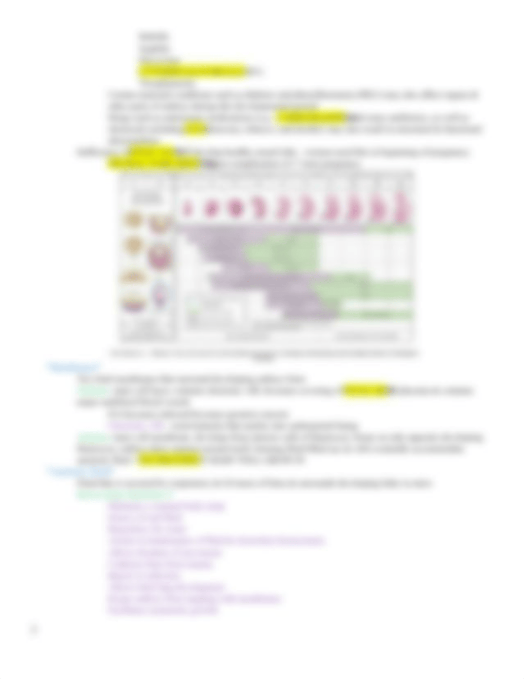 NU 333 WK 2 - Ch. 12 Conception & Fetal Development.docx_dvptrmvtmxp_page3