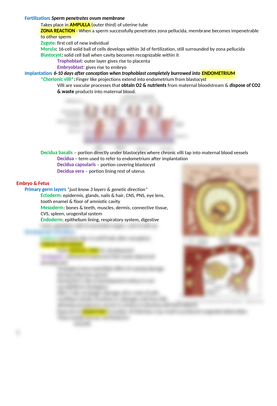 NU 333 WK 2 - Ch. 12 Conception & Fetal Development.docx_dvptrmvtmxp_page2