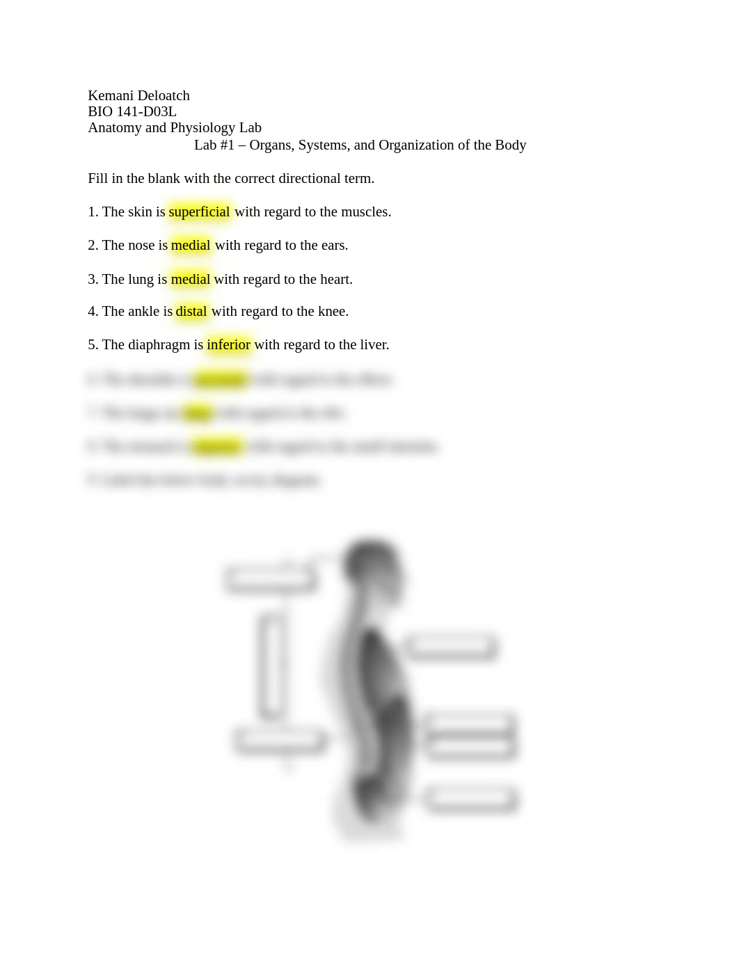 Lab 1 Lab Report.docx_dvpylvecj9y_page1