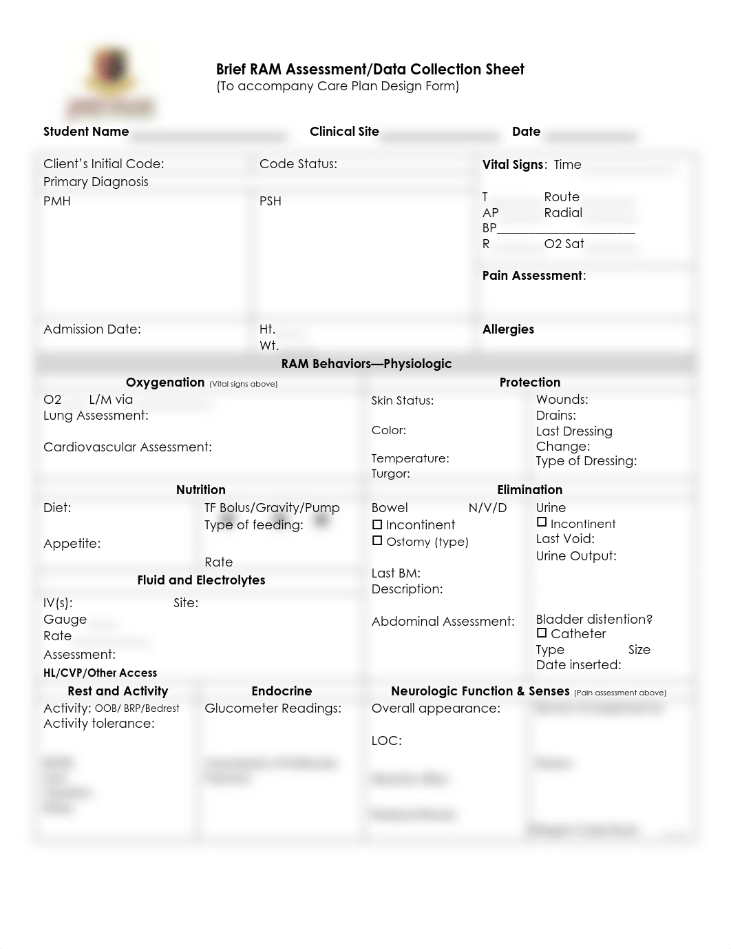 care plan templet.pdf_dvq2l9757u3_page1