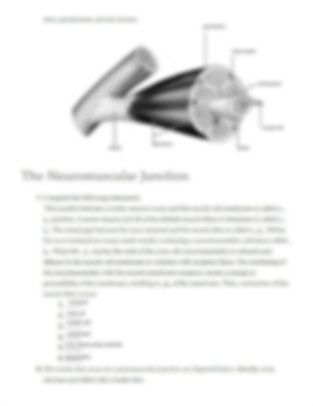 Ex12 Review sheet - Microscopic Anatomy and Organization of Skeletal Muscle (1).pdf_dvq2v5ztvcl_page3