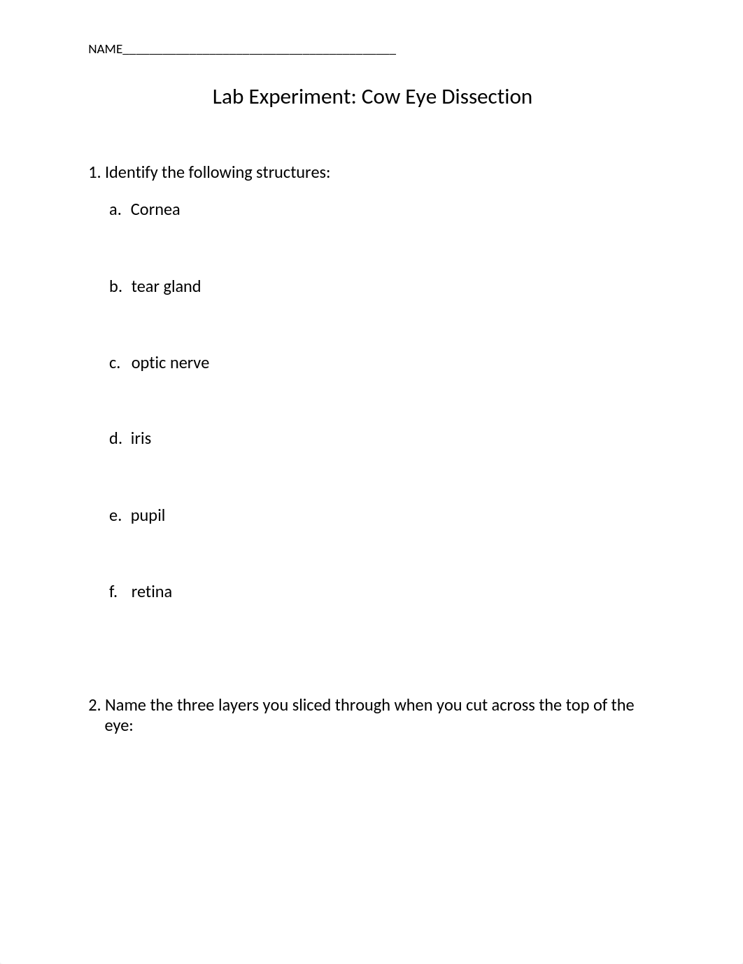 Chp 12 Cow Eye Dissection Report (1)_dvq66gv07n6_page1