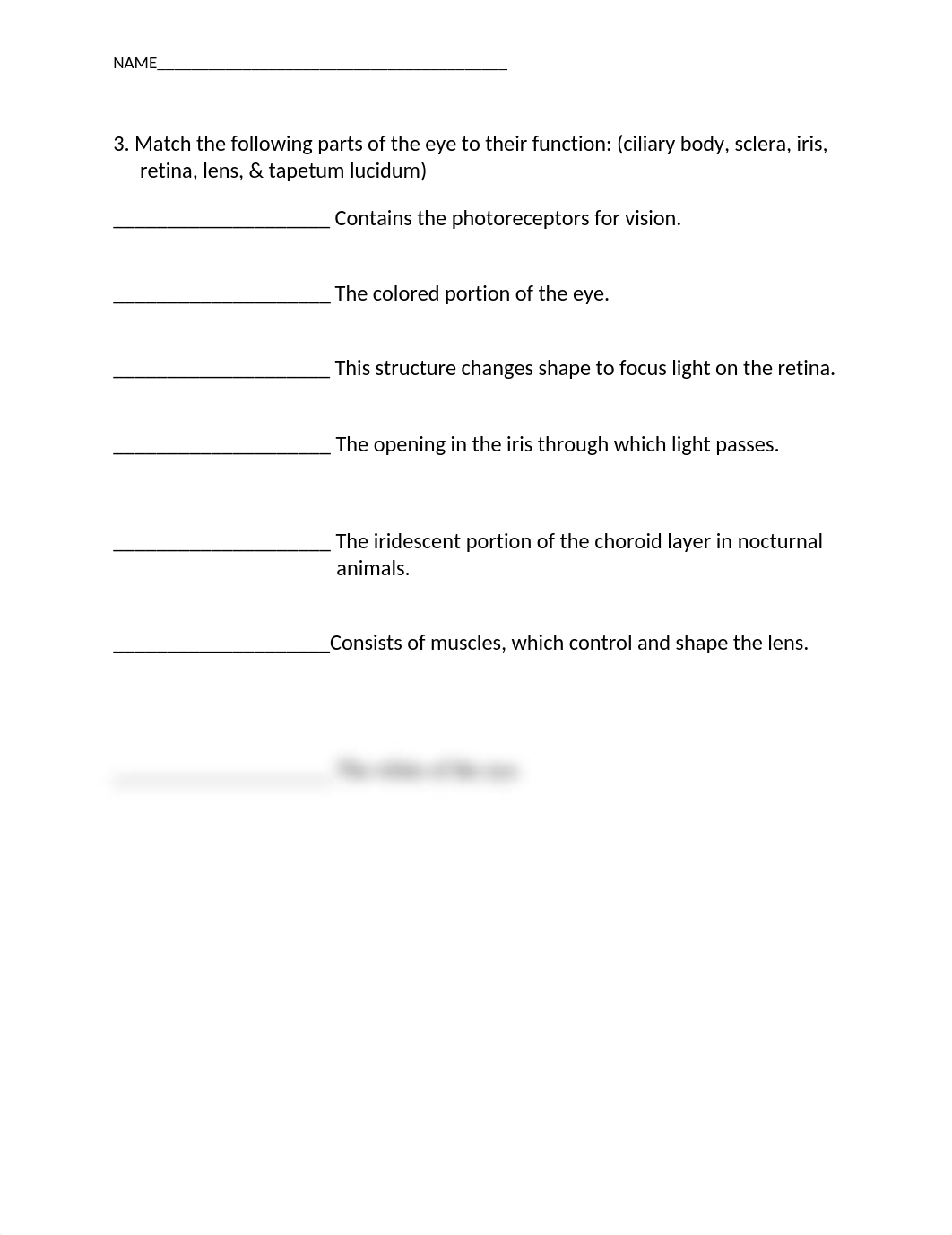 Chp 12 Cow Eye Dissection Report (1)_dvq66gv07n6_page2