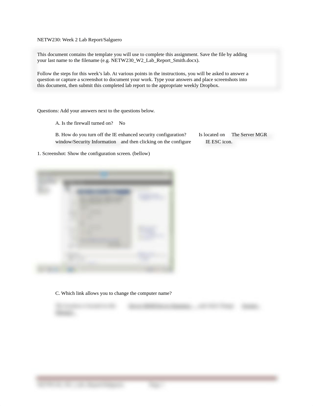 NETW230_W2_Lab_Report-Salguero_dvq6atpaqlc_page1