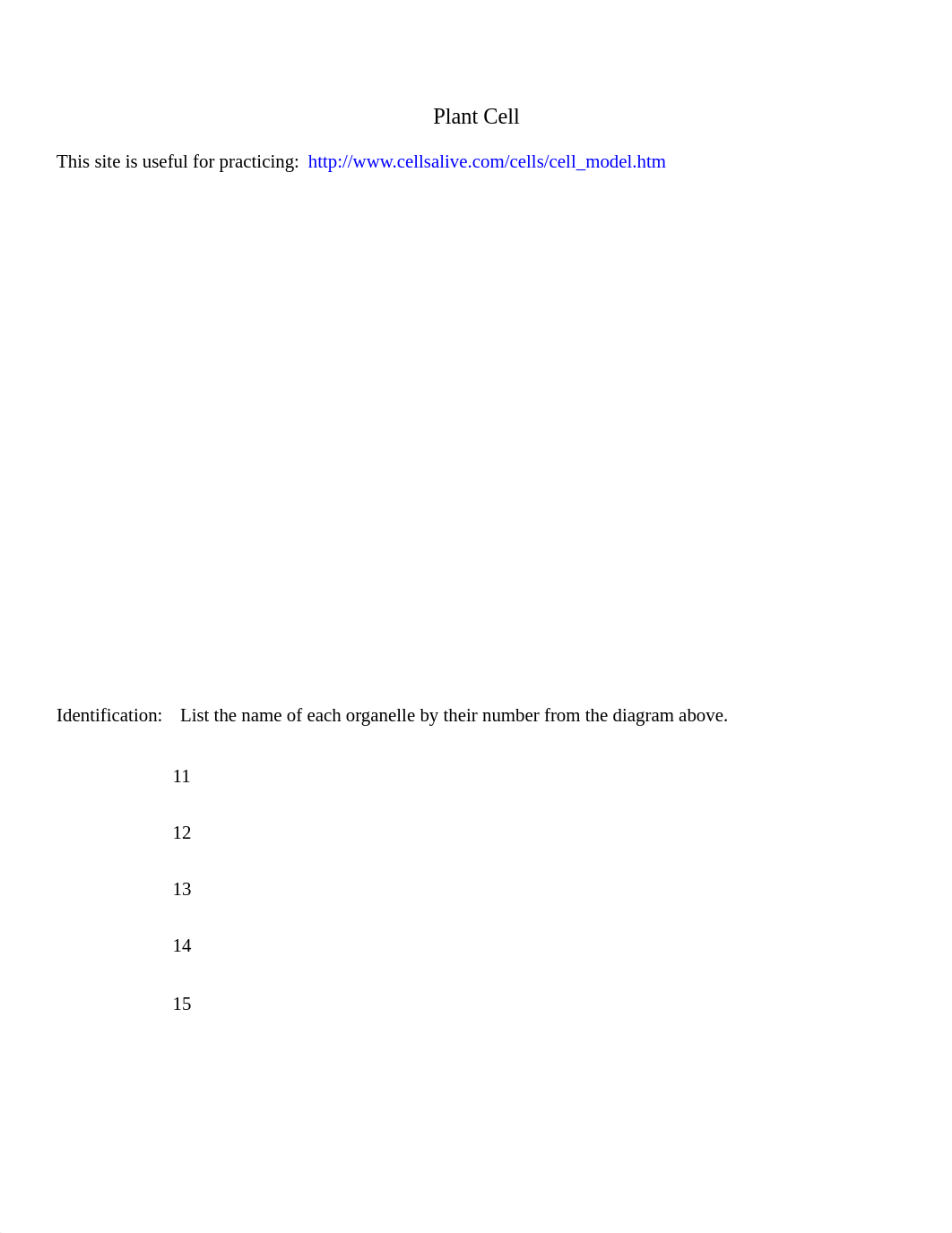 HW 3 Cells_Assignment_PlantandAnimal Matching S-3 (QUARLES T)_dvq9210oo8u_page2