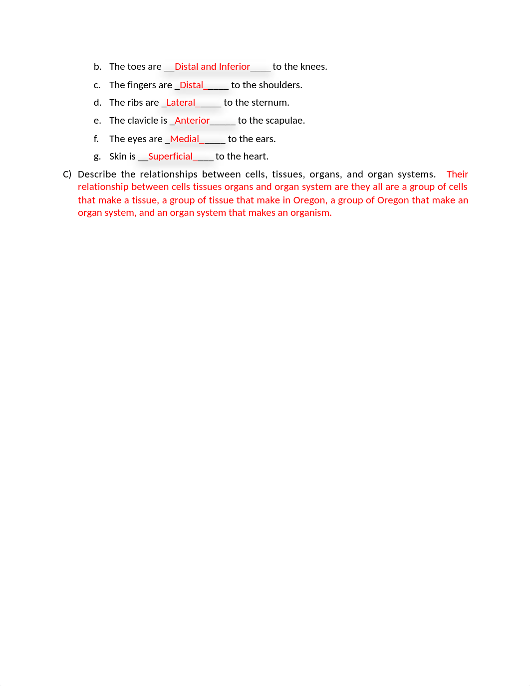 Overview of Anatomy_RPT.docx_dvqbxb77pob_page3