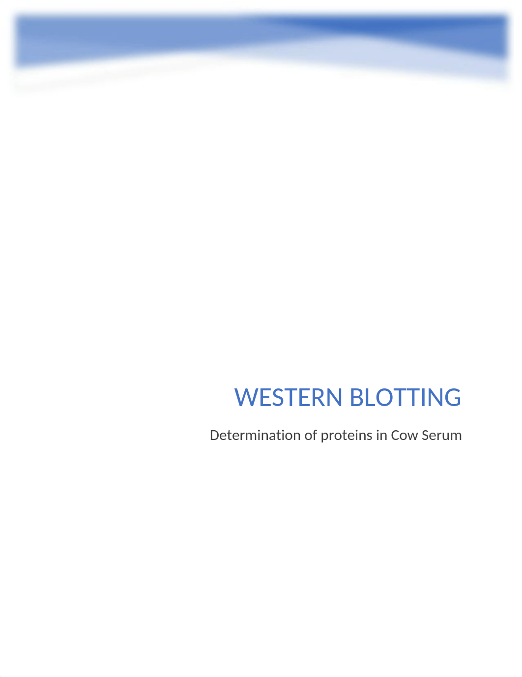 Western Blot report.docx_dvqd3eivd4z_page1