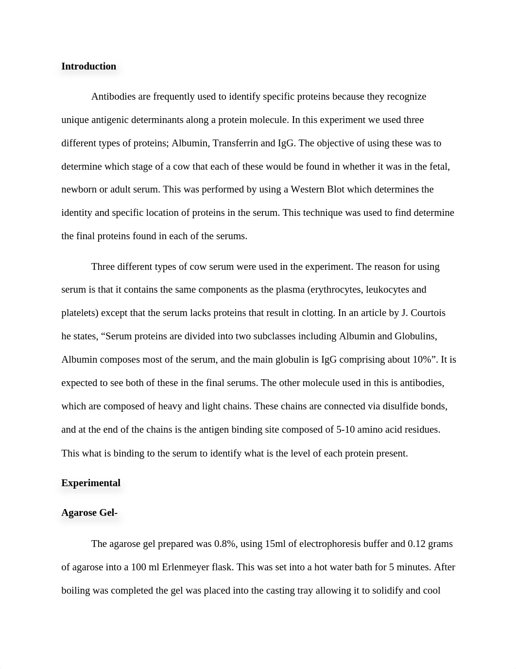 Western Blot report.docx_dvqd3eivd4z_page2