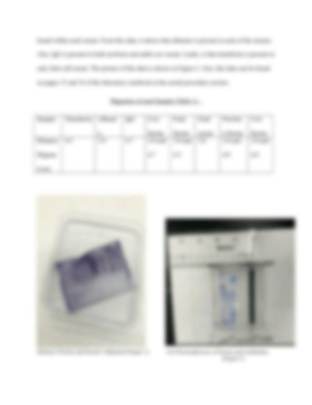 Western Blot report.docx_dvqd3eivd4z_page4