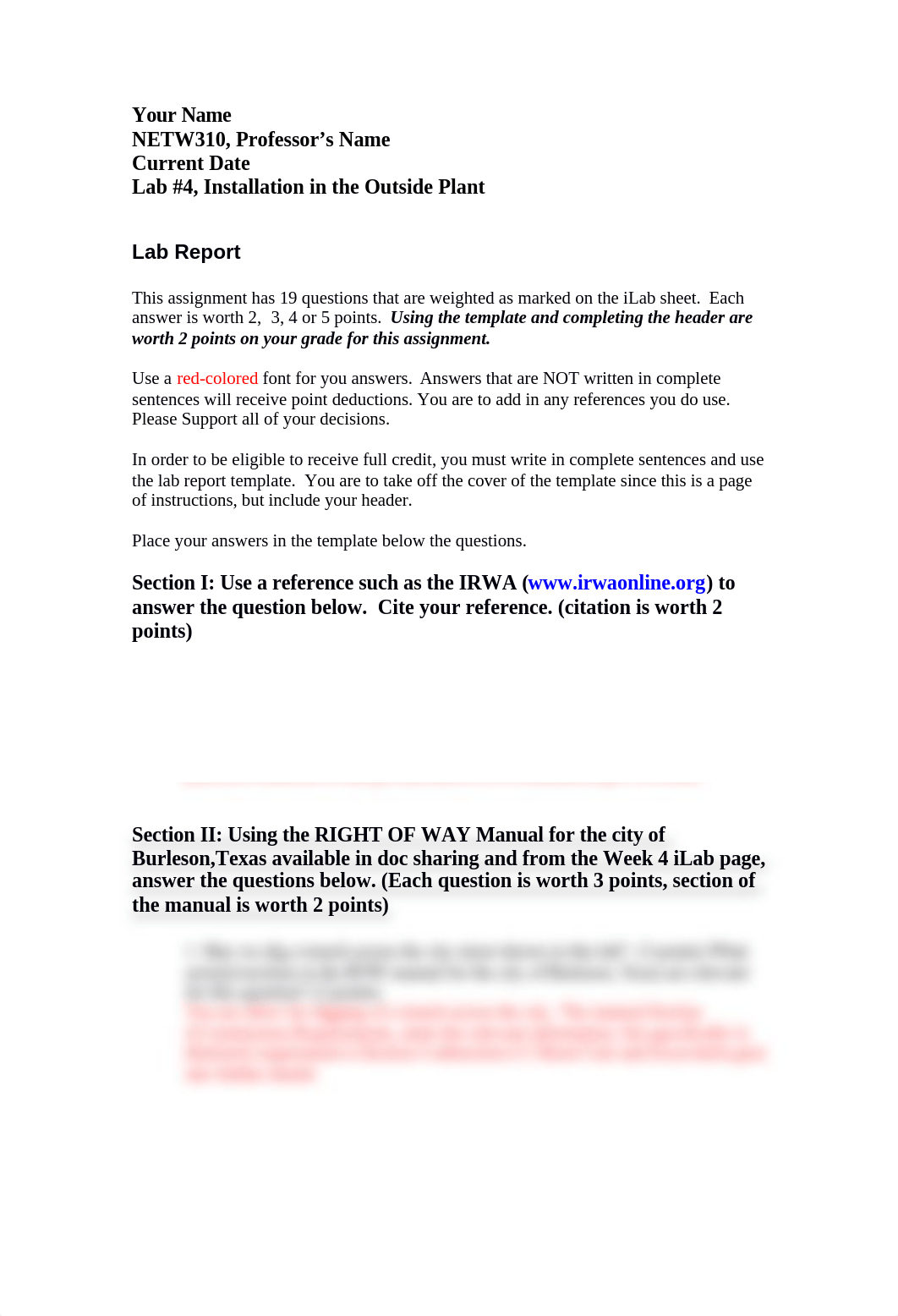 NEW310_Week_4_iLab_v3.docx_dvqli5bmvbd_page2