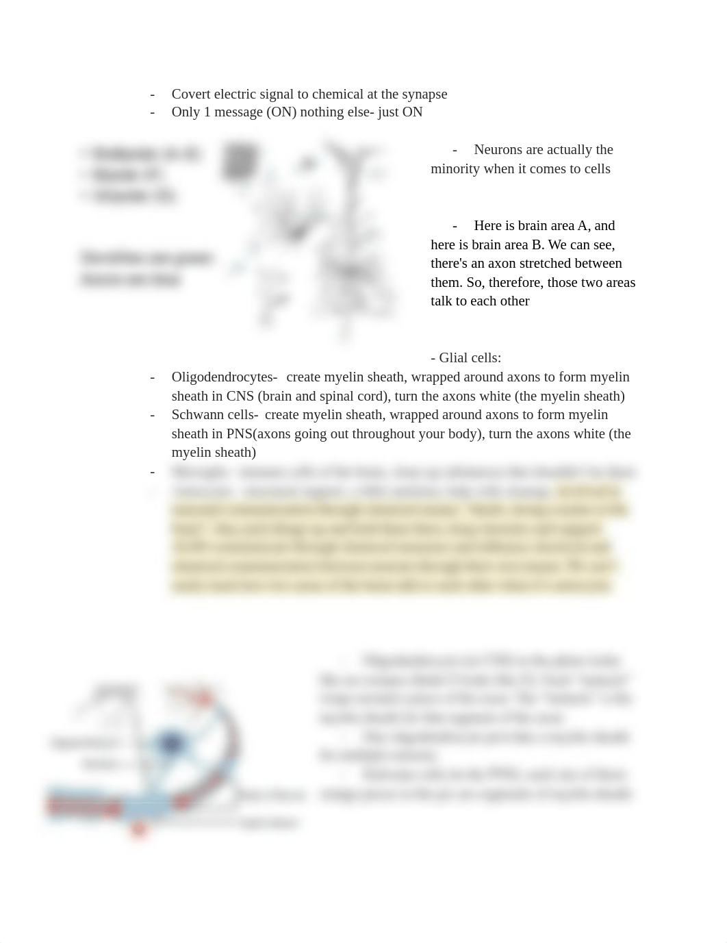 CD 680 Neurological Bases.pdf_dvqrxtsjcby_page1