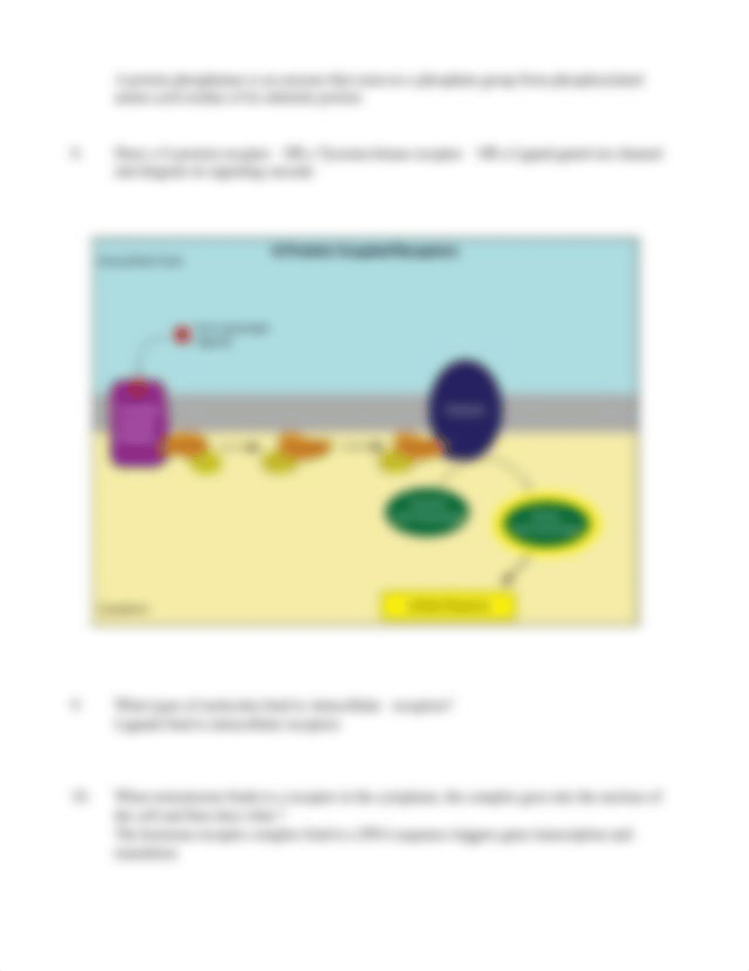 Cell Communication Worksheet 2 .pdf_dvr562nbh9i_page2